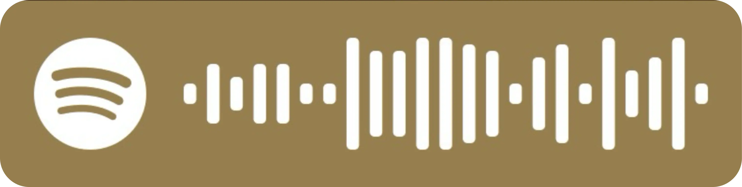hidden spotify code